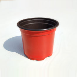 Nature Rabbit Thermoform Pot Red
