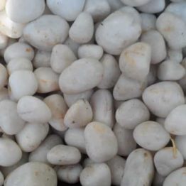 Nature Rabbit White Pebbles