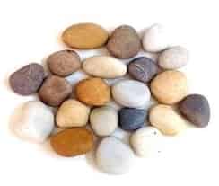 Nature Rabbit Pebbles Product category Image