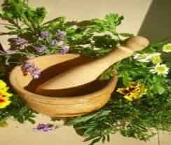 Medicinal Plant Product Image