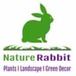 Nature Rabbit